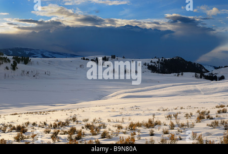 Tramonto in inverno nella valle di Lamar il Parco Nazionale di Yellowstone Wyoming Foto Stock