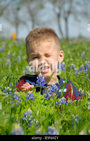 Un piccolo ragazzo che posano per la telecamera in un campo di bluebonnets Foto Stock