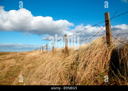 Il paesaggio costiero con recinto. Foto Stock