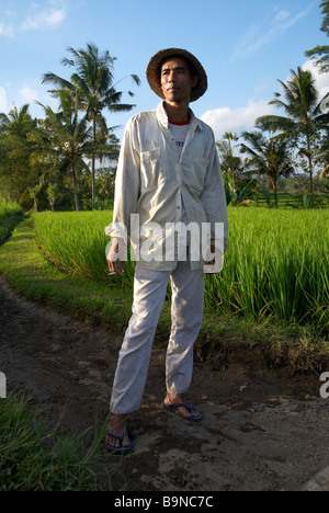 Riso balinesi agricoltore Indonesia Foto Stock