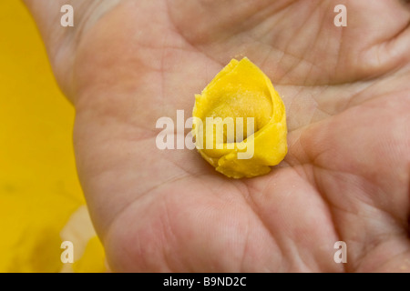 Preparare i tortellini Castelfranco Emilia Modena Italia Foto Stock