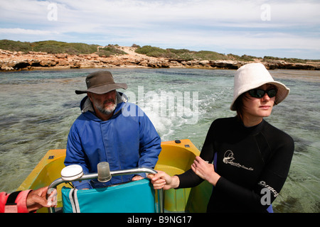 In un tour di Baird Bay Ocean Eco esperienza: nuoto nel selvaggio selvaggio con i leoni marini e i delfini, Sud Australia Foto Stock