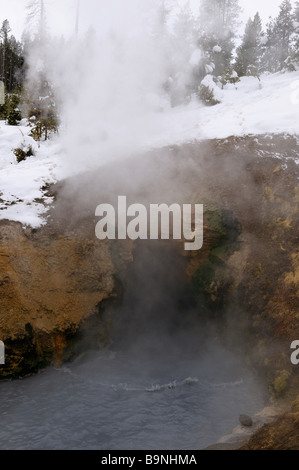 Draghi bocca primavera calda nel fango vulcano area del Parco Nazionale di Yellowstone Wyoming usa in inverno Foto Stock