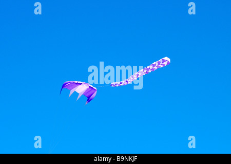 Uno viola e bianco aquilone con la coda o streamer battenti con [clear profondo cielo blu] Foto Stock