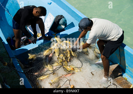 Yucatan Messico 2009 Puerto Morelos pescatori utilizzano reti da imbrocco per la cattura di pesci di scogliera Foto Stock