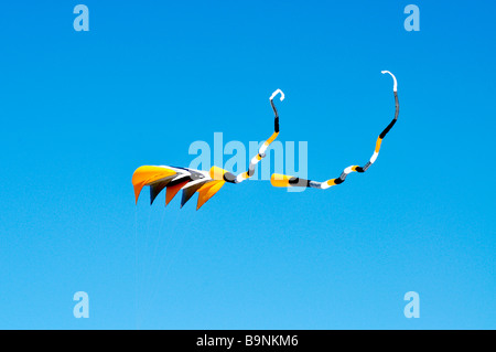 Grandi striped [sled kite] con streamers battenti contro il cielo blu chiaro Foto Stock