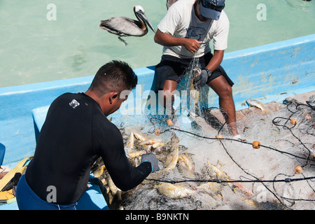 Yucatan Messico 2009 Puerto Morelos pescatori utilizzano reti da imbrocco per la cattura di pesci di scogliera Foto Stock