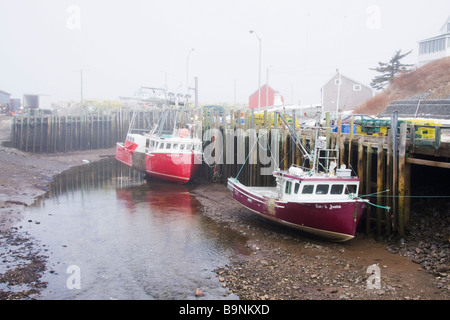 Bassa marea - Sala del porto, Nova Scotia, Canada. Foto Stock
