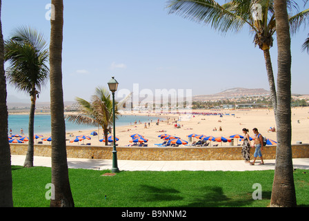 La spiaggia e il lungomare, Caleta Beach Caleta de Fuste, Fuerteventura, Isole Canarie, Spagna Foto Stock