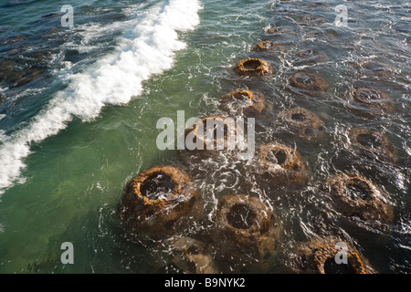 Messico Yucatan - Mayan Palace resorts Grand Mayan Playa del Carmen - Reef sfere posizionati nei fondali bassi per creare nuova barriera corallina Foto Stock