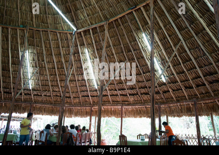 Yucatan Messico 2009 palm tradizionale palapa paglia tetto o tettoia sopra il ristorante al Cenote Zaci in Valladolid Foto Stock