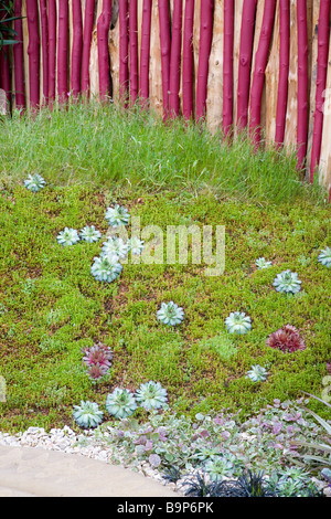 Il Marshalls giardino che i ragazzi vogliono realmente! Al Chelsea Flower Show 2008, designer Ian Dexter Foto Stock