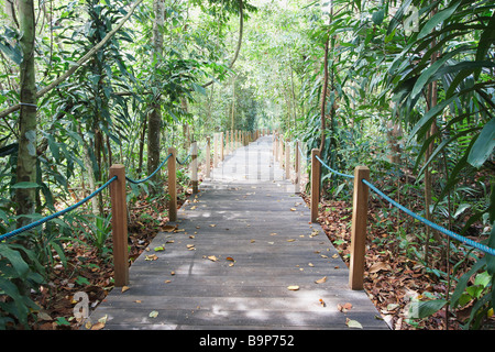Percorso in Singapore Botanic Gardens Foto Stock