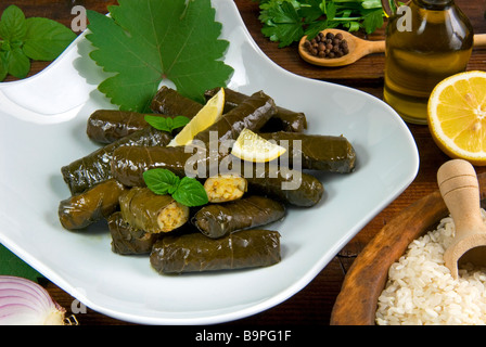 Le foglie di vite ripiene Dolmades paesi arabi arabo la cottura di cibo Greco Foto Stock