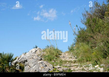 Mozarabico sentiero a gradini, Vall de Laguart, Benimaurell, Provincia di Alicante, Comunidad Valenciana, Spagna Foto Stock