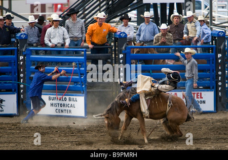 Cowboy rides strappi bronco Cody Nite Rodeo Wyoming USA Foto Stock