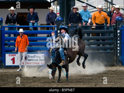 Cowboy rides strappi bronco Cody Nite Rodeo Wyoming USA Foto Stock