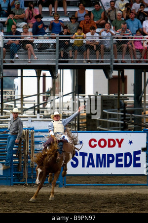 Cowboy rides strappi bronco Cody Nite Rodeo Wyoming USA Foto Stock