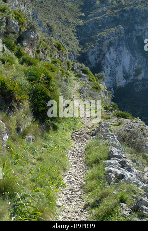 Mozarabo sentiero di montagna, in rotta verso Barranc de Infierno, Vall de Laguart, Benimaurell, Provincia di Alicante, Comunidad Valenciana Foto Stock