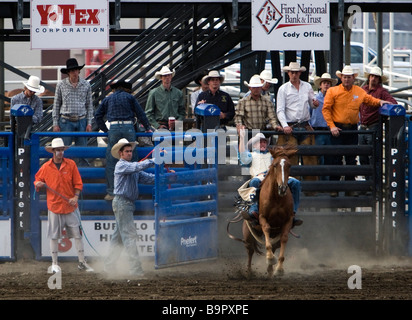 Cowboy rides bronco strappi dallo scivolo Cody Nite Rodeo Wyoming USA Foto Stock