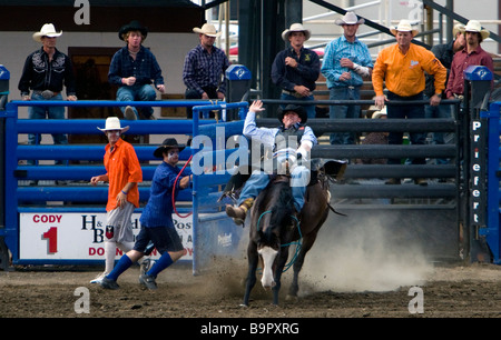 Cowboy rides strappi bronco Cody Nite Rodeo Wyoming USA Foto Stock