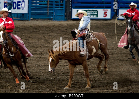 Cowboy rides strappi bronco Cody Nite Rodeo Wyoming USA Foto Stock