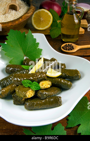 Le foglie di vite ripiene Dolmades paesi arabi arabo la cottura di cibo Greco Foto Stock