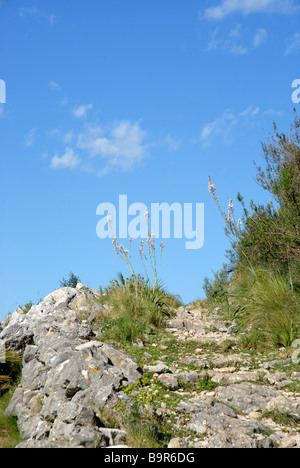 Mozarabico sentiero a gradini, Vall de Laguart, Benimaurell, Provincia di Alicante, Comunidad Valenciana, Spagna Foto Stock