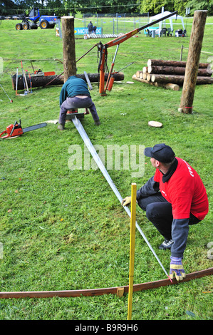 Due funzionari misurando il taglio del tronco di un albero durante un concorso di registrazione. Foto Stock