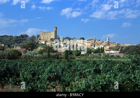 Châteauneuf-du-Pape Village & Vigna Côtes-du-Rhône, Vaucluse Provence, Francia Foto Stock