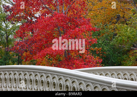 Ponte di prua a Central Park di New York in una giornata autunnale Foto Stock