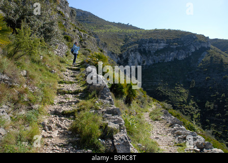 Donna escursionista con fotocamera su mozarabico sentiero a gradini, Vall de Laguart, Benimaurell, Provincia di Alicante, Comunidad Valenciana, Spagna Foto Stock