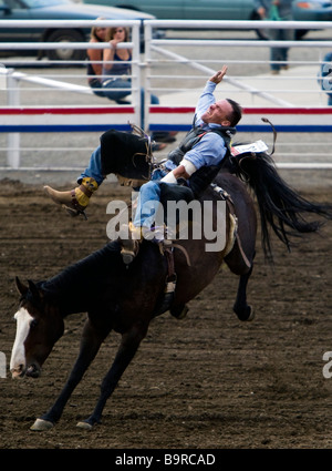 Cowboy rides strappi bronco Cody Nite Rodeo Wyoming USA Foto Stock