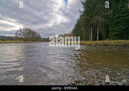 Il fiume Ettrick presso il punto di incontro con Yarrow acqua Foto Stock