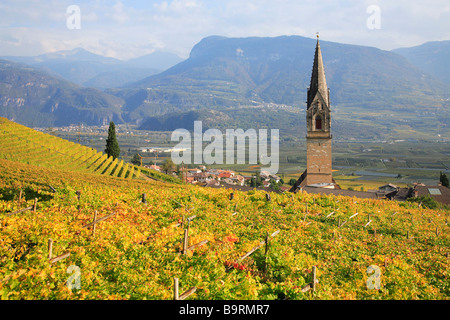 La chiesa di St Quirikus e Giulitta a Termeno Termeno sulla strada del vino con il più alto campanile 86m del Trentino Foto Stock