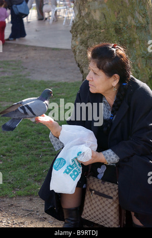 Coppia senior donna turca che alimentando i piccioni a Finsbury Park North London REGNO UNITO Foto Stock