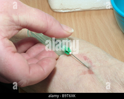 Donna con un esame di sangue prelevato Foto Stock