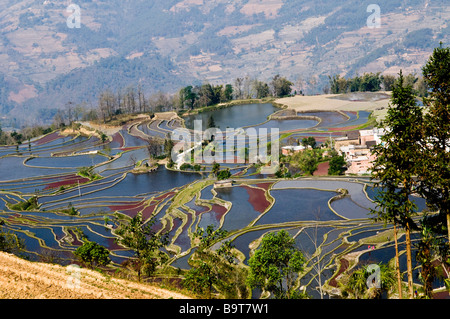 Drammatico paesaggio in YuanYang Yunnan in Cina. Foto Stock