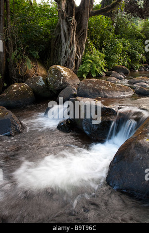 Una piccola cascata su un flusso di Zomba Plateau fotografati a una lenta velocità otturatore Foto Stock