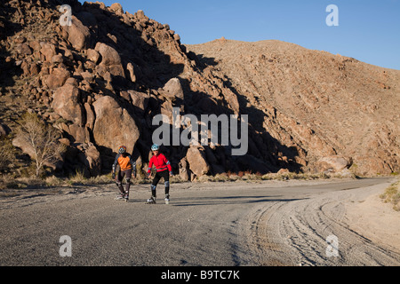 Paio di palettatura del rullo. Foto Stock