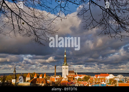 Panorama della città di Tallin da un punto di vista sotto gli alberi durante una giornata nuvolosa di Tallin, Estonia, Europa Foto Stock