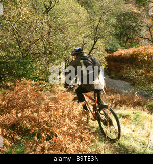 Un uomo in bicicletta in autunno in Galles Foto Stock