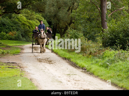 Trappola per turisti. Un cavallo e trappola porta i turisti per un tour intorno ai giardini della casa Muckros station wagon. Foto Stock