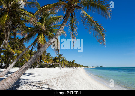 Smathers Beach, Key West, Florida Keys, STATI UNITI D'AMERICA Foto Stock