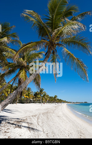 Smathers Beach, Key West, Florida Keys, STATI UNITI D'AMERICA Foto Stock