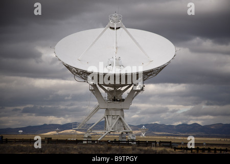 Molto grande schiera Foto Stock