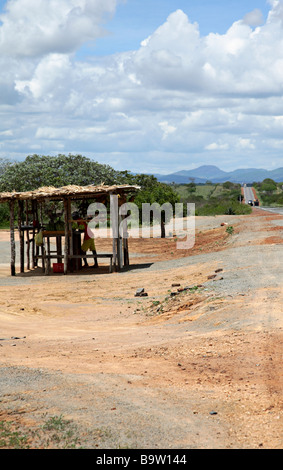 Fornitore di frutta sul lato strada nell'entroterra di Bahia Brasile America del Sud Foto Stock