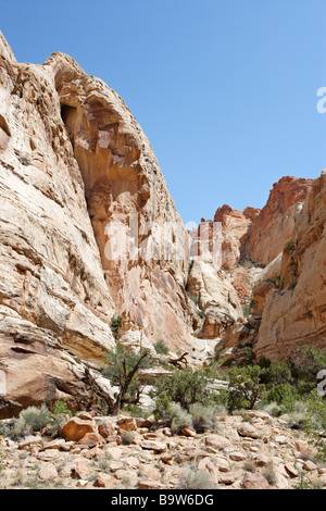 Grand Area lavaggio a Capitol Reef National Park nello Utah Stati Uniti d'America Foto Stock