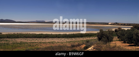 Vista panoramica sul lago di Fuente de Piedra in Andalusia Spagna, con il maggiore Flamingos e un Centro visite sulla destra. Foto Stock