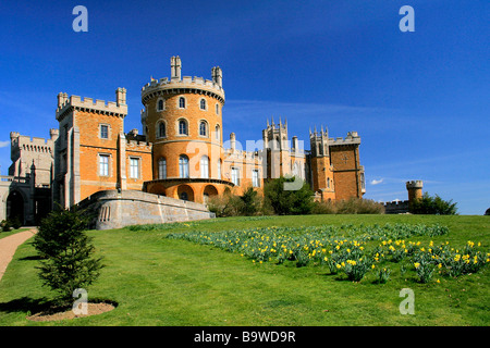 Paesaggio Belvoir Castle molla Daffodil fiori Leicestershire County Inghilterra REGNO UNITO Foto Stock